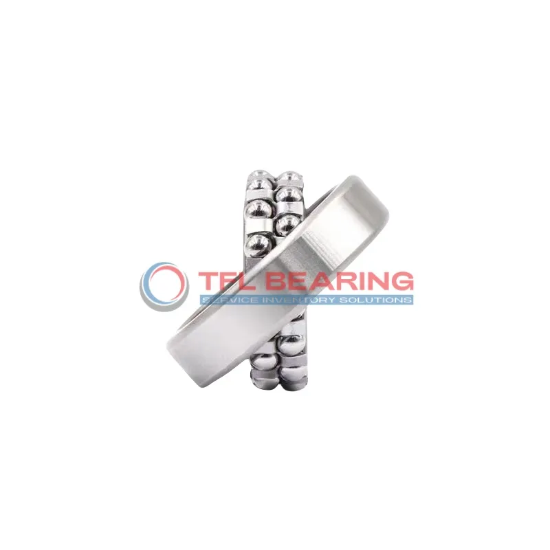 Self Aligning Ball Bearings 1319K